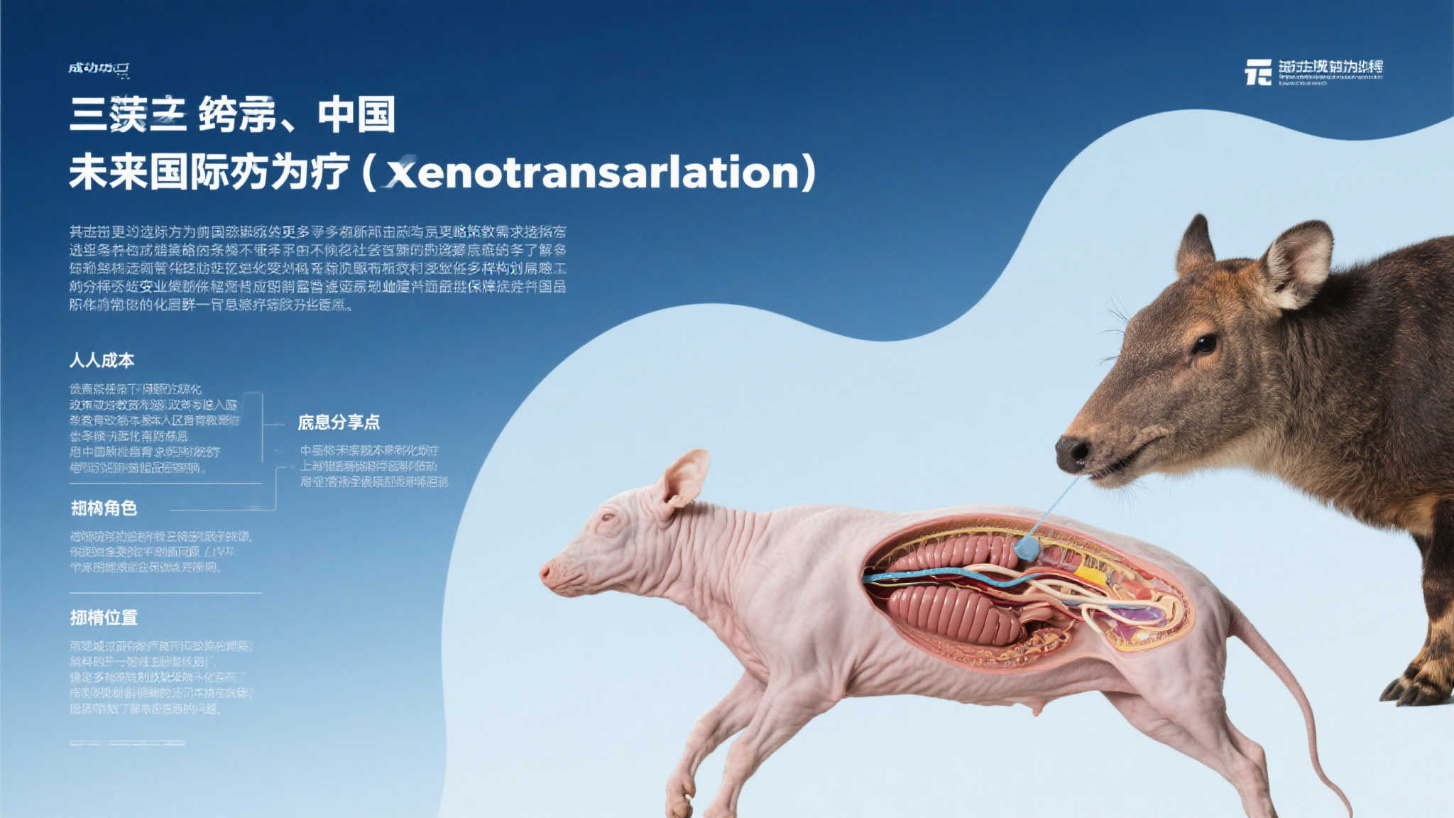 南宫28概况简介